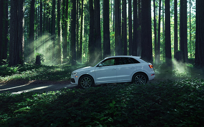 Audi Q3 in a Redwood...