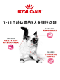 皇家猫粮小奶罐幼猫粮K36猫奶糕BK34孕猫离乳期断奶猫粮幼猫营养-tmall.com天猫
