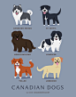 Delightful Illustrated Posters Are a Guide to 192 Dogs of the World : Our favorite types of dogs come from all over the world, and illustrator Lili Chin would know - she’s drawn nearly 200 of them! Starting in the summer of 2014, she presented the series 