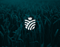 Identidade Visual: The Field