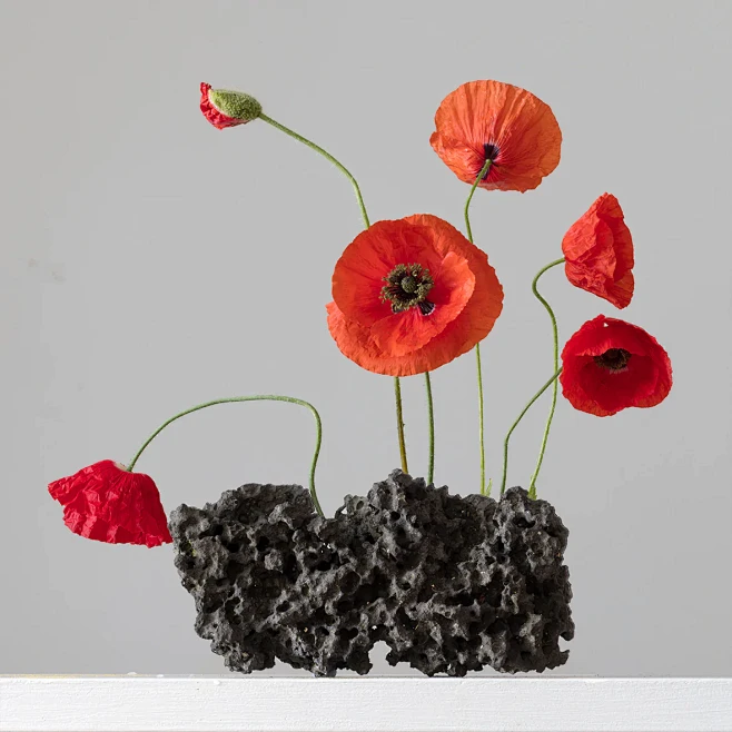 Scoria-Poppy_2048x
