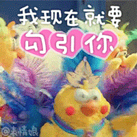 鹦鹉兄弟表情包GIF动图 日本鹦鹉兄弟表情包大全 - 7230手游网