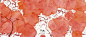 201341315552012245.jpg (1000×433)