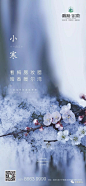 文案猎头 _节气-小寒+大寒采下来 #率叶插件，让花瓣网更好用#