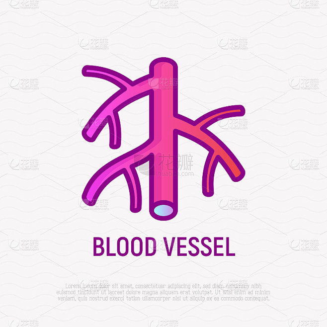 血管细线图标。现代向量插图。