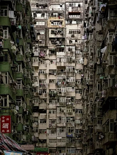 進擊的大魚采集到城中村
