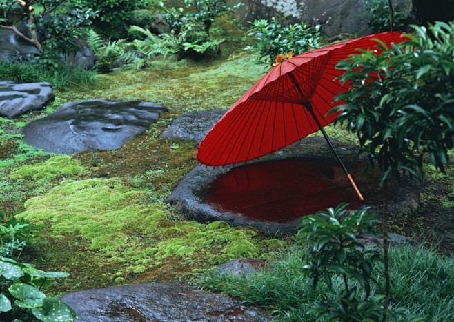 日式庭院油伞图片