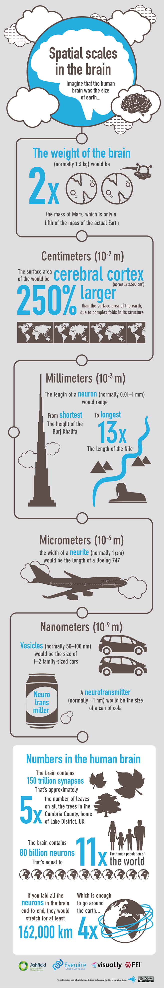 Spatial Scales in th...