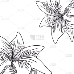 植物群,分离着色,草本,式样,计算机图标,华丽的,纺织品,壁纸,绘制,剪影