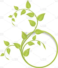 绿色植物的框架