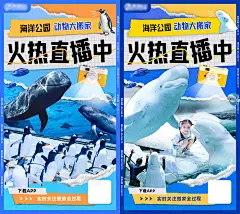 海洋公园直播海报-素材库-sucai1.cn