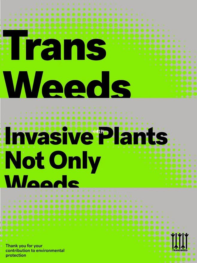 海报设计 ｜ Transweeds : ...