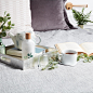 Eucalyptus White Tea | Fresh Fragrance Collection : Thymes Aqua Coralline, also known as Naia, is a delightful ocean fragrance. Dive into Aqua Coralline's products, including candles, hand creams & body wash.
