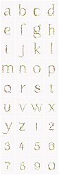 Blossom type / Alice Mourou & Zero - 谷德设计网