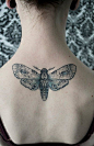 moth 蛾の刺青