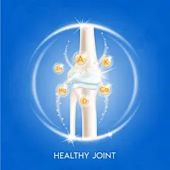Human bone anatomy. skeleton x ray scan concept and vitamin therapy.