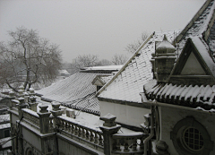 美图共赏采集到2016年第一场雪景