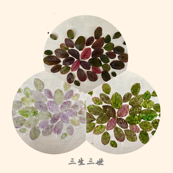 这两天做的拓染。当植物在织物上绽放时，不仅带来令人称奇的画面，还有各种好闻的奇特的味道。