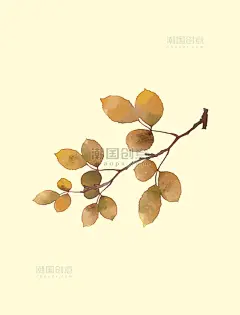 唯美水彩手绘树枝枯枝枯叶手账贴纸