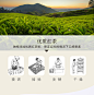 三九红糖姜茶999姜糖生姜红糖水黑糖老姜汤汁大姨妈小袋装2盒暖姜-tmall.com天猫