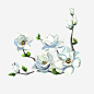 山茶花_新图网 https://www.ixintu.com 白色 唯美 茶花