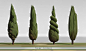 Cypress design 1 , Ulysse Verhasselt : First one of a series of natural props concept I'am working on! <br/>I'm also looking for more freelance coming February,<br/>Contact: verhassletu<a class="text-meta meta-mention" href="