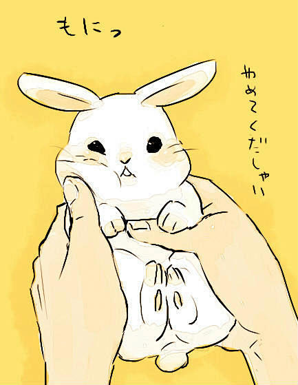 兔子