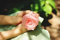 幽幽的婉香，弥漫了诗意的时光……