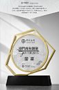 水晶奖杯奖牌个性定制高档白玉金属奖杯公司年会周年纪念牌制作-tmall.com天猫