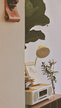 (勿改描述)@你看那是岸_朱夫人（由于壁纸有一部分自制，所以转壁纸请加关注注明出处，蟹蟹）平铺，可爱，女王范，黑色，黑白，白色，锁屏，ins风，潮，御姐，动漫，卡通，风景，古风，流行，欧美，情侣壁纸