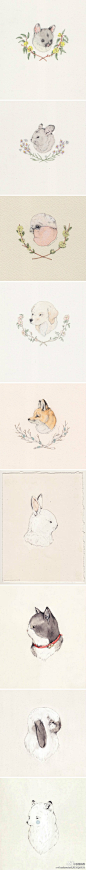 清新淡雅的 彩铅+水彩 手绘小动物。作者：Sarah McNeil