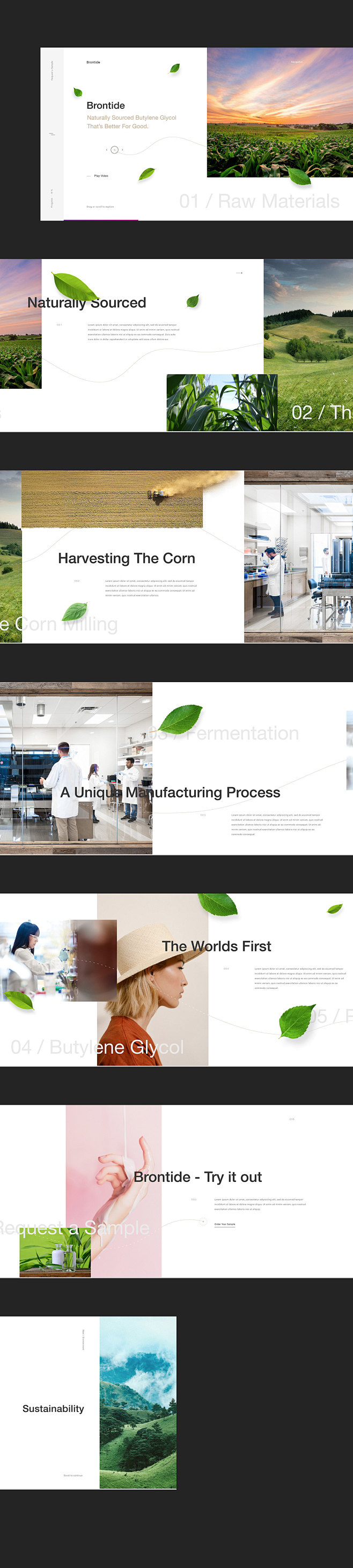 Behance :: 为您呈现