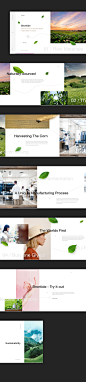 Behance :: 为您呈现