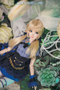 Ringdoll戒之人形 alice爱丽丝01 限定 BJD娃娃SD女3分 官方正版-淘宝网