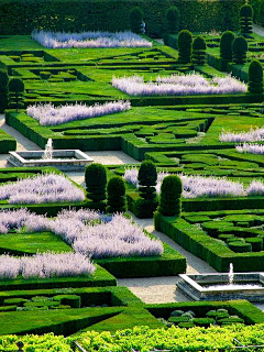 ZITINO采集到architectural green wall
