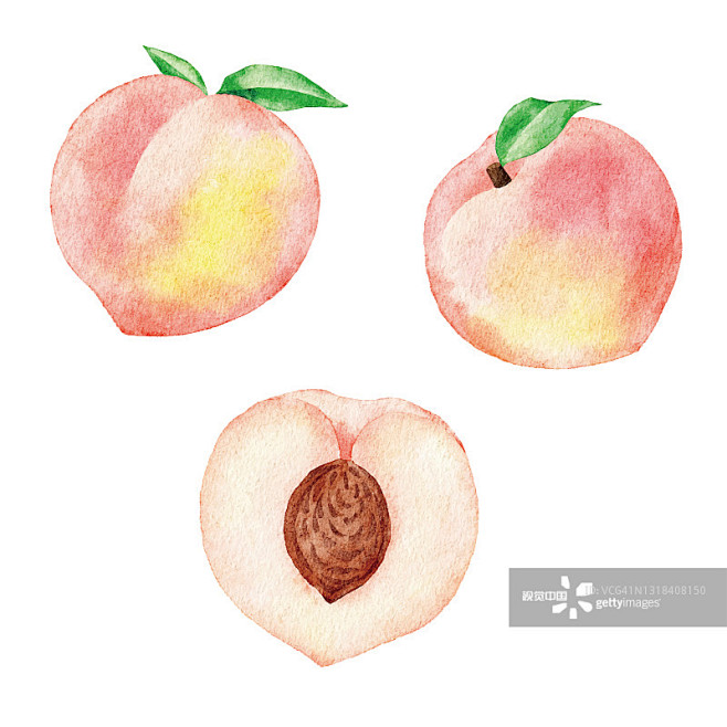 白桃,水彩画,水彩画颜料,背景分离,果汁...