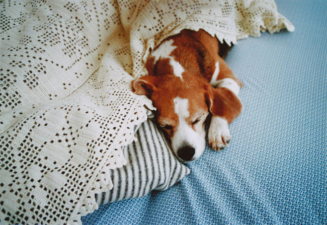 Untitled | by Hilde-...