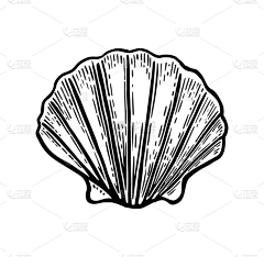赵芃芃采集到4月