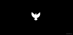 小小Rae采集到logo