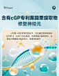 Pioers美国进口中老年神经酸DHA藻油大脑记忆力注意力补脑专注-tmall.com天猫