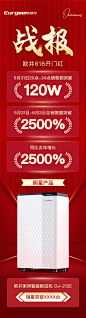 战报