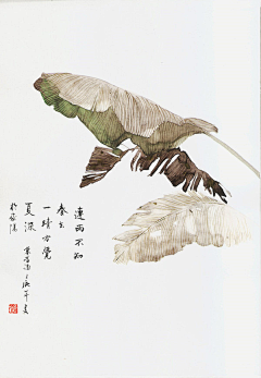 cdAvhED6采集到速写
