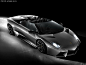 Reventon 2010款 Roadster 376170图片