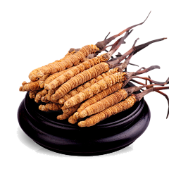 命-----采集到药材