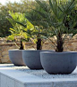 Urbis Design | Contemporary Concrete Planters and Furniture