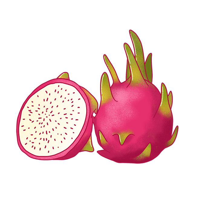 手绘热带水果火龙果插图