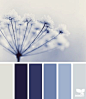 Design Seeds® | for all who ❤ color | winter tints