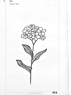 近期线条手绘小集 （作者： 会画画的云 ） ​ ​​​​