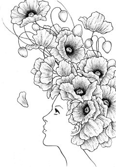 月泱采集到插画