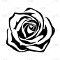 玫瑰的黑色剪影。矢量插图。